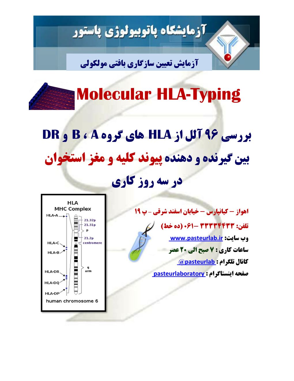 HLA Ad-6.4.95_1