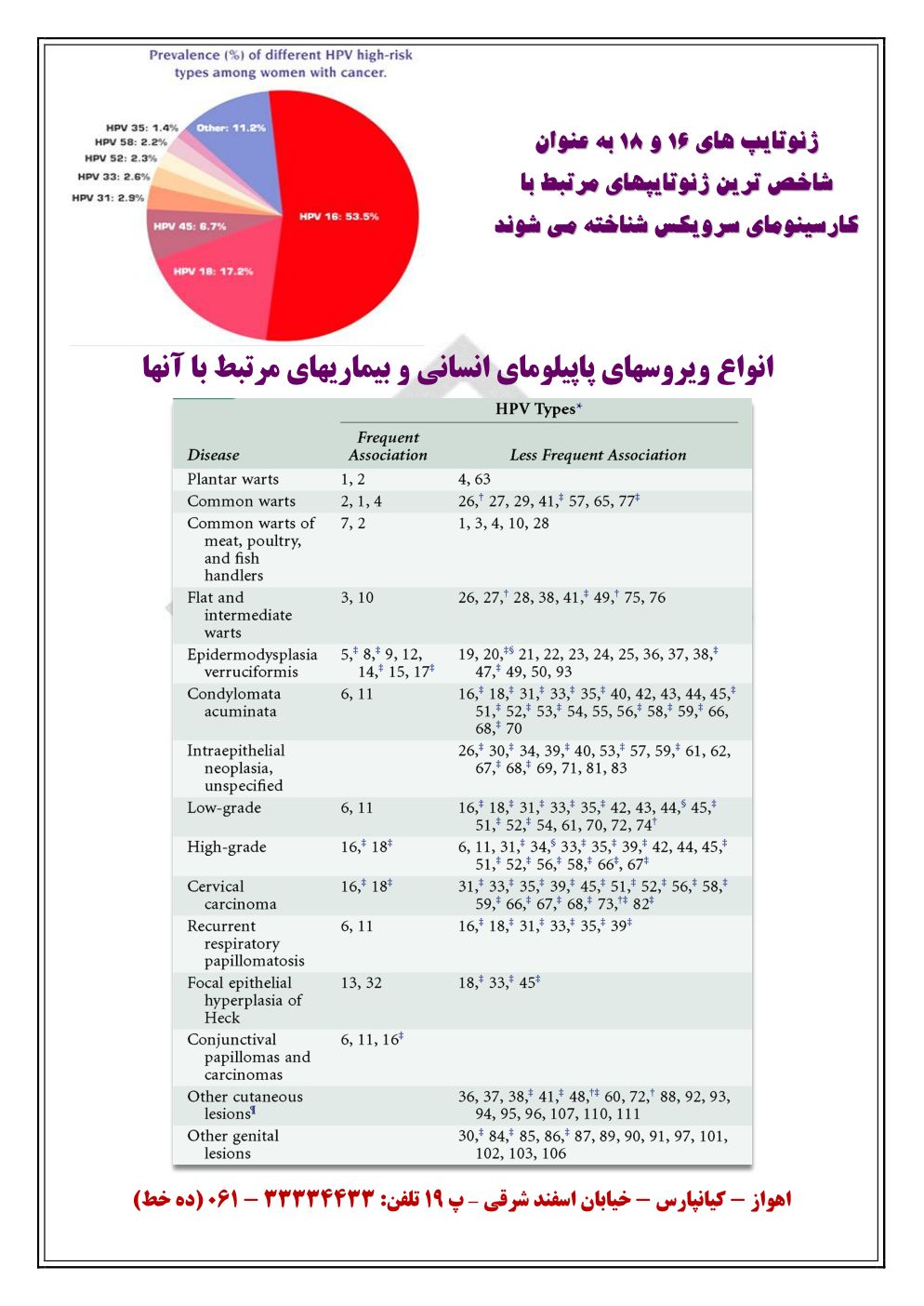 PL-HPV-AD-Assareh_3